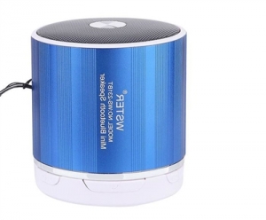 Loa Bluetooth Wireless Speaker WS-230BT